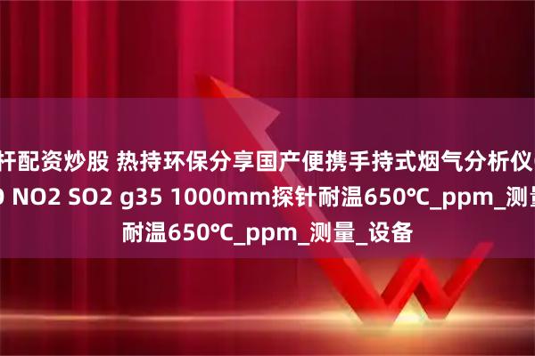 杠杆配资炒股 热持环保分享国产便携手持式烟气分析仪O2 CO NO NO2 SO2 g35 1000mm探针耐温650℃_ppm_测量_设备